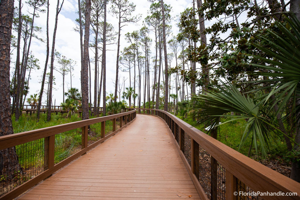 a boardwalk that leads you through a lush green wooded area