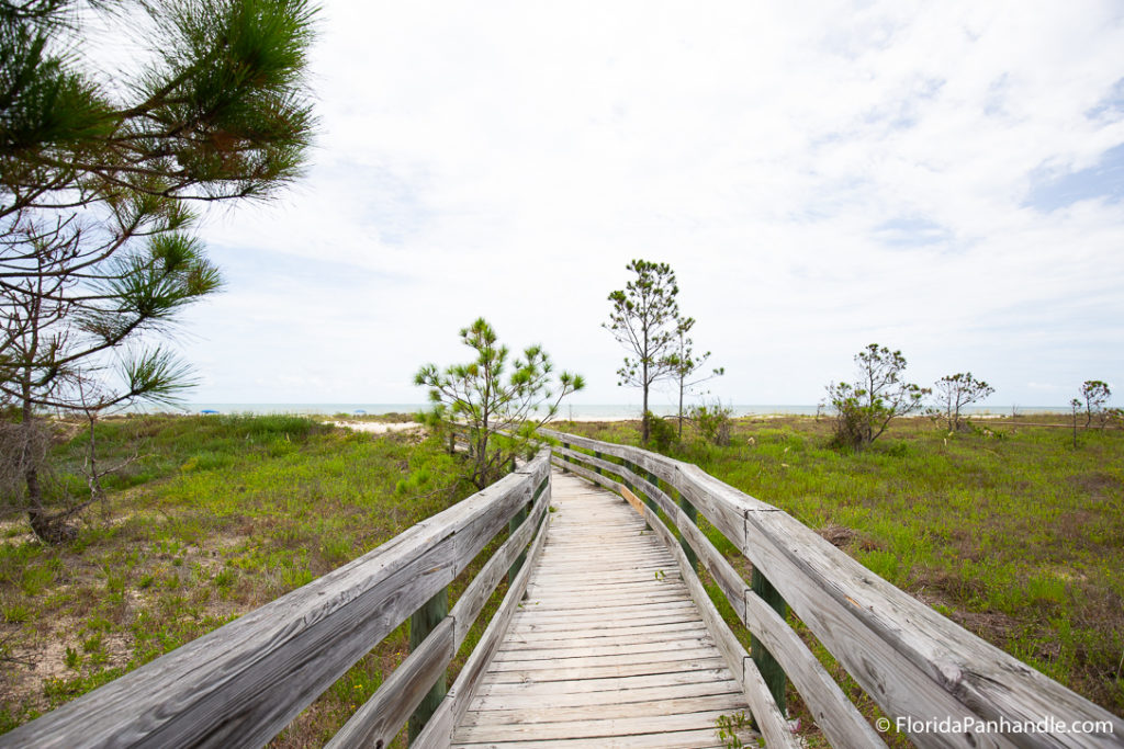 wooded pathway in between grass land leading to the beach at Loggerhead Run Bike Trail