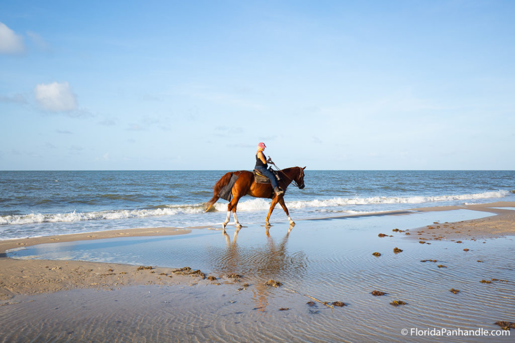 a woman riding a horse along the shore of the beach in the afternoon