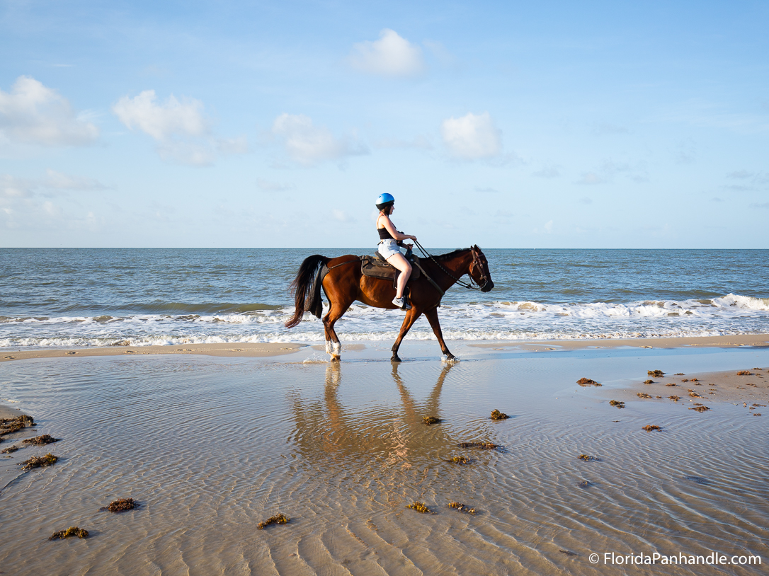 Cape San Blas Things To Do - Two-Bit Stable Horseback Riding on the Beach - Original Photo