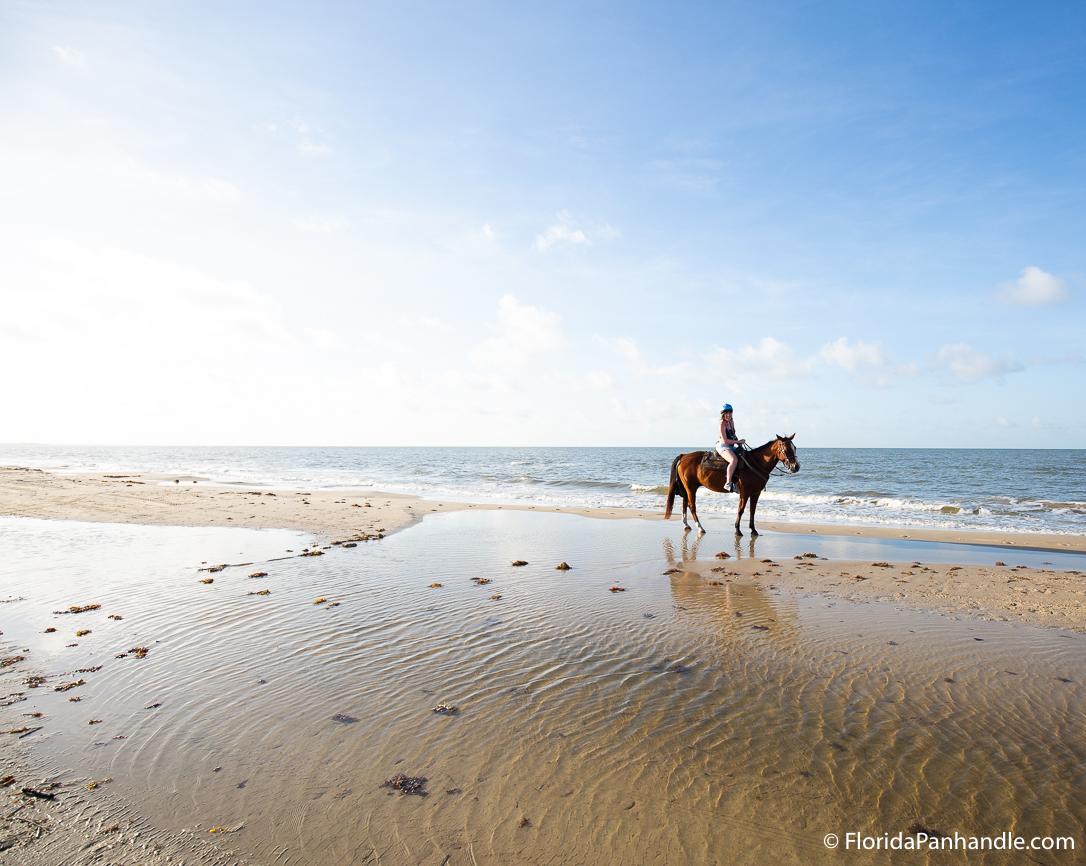 Cape San Blas Things To Do - Two-Bit Stable Horseback Riding on the Beach - Original Photo