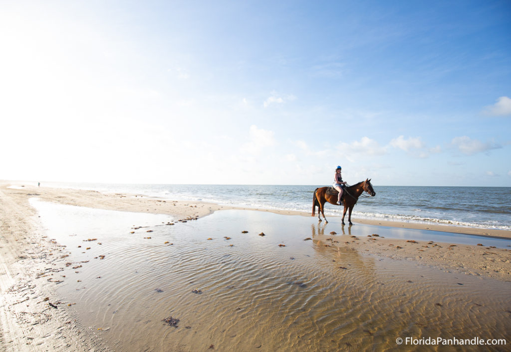 a woman riding a horse on the beach