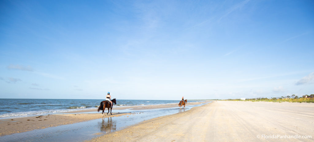 two people riding horses on the beach on a sunny day