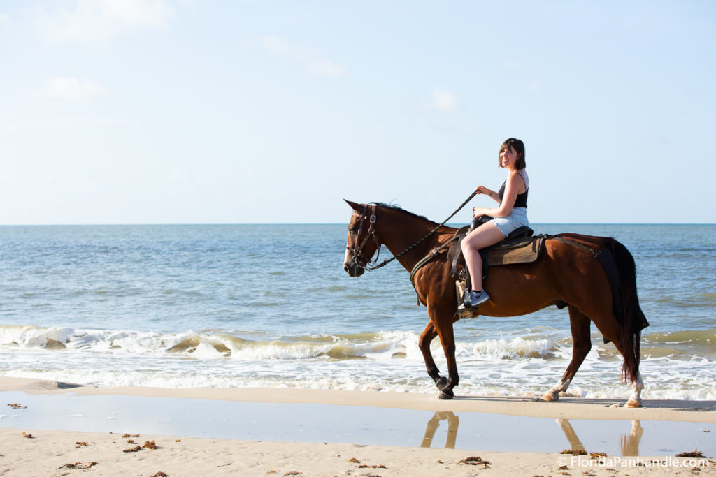 fun things to do in port st joe florida | horseback riding