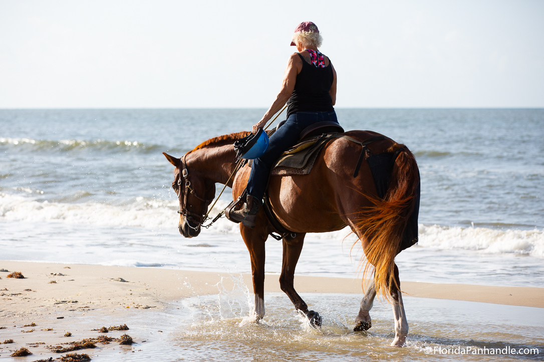 5 Reasons to Go Horseback Riding on the Beach in Cape San Blas
