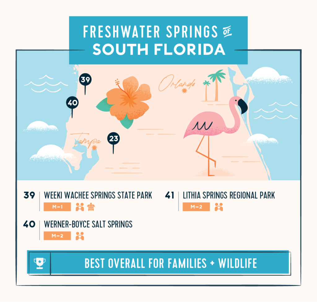 Freshwater springs of south Florida