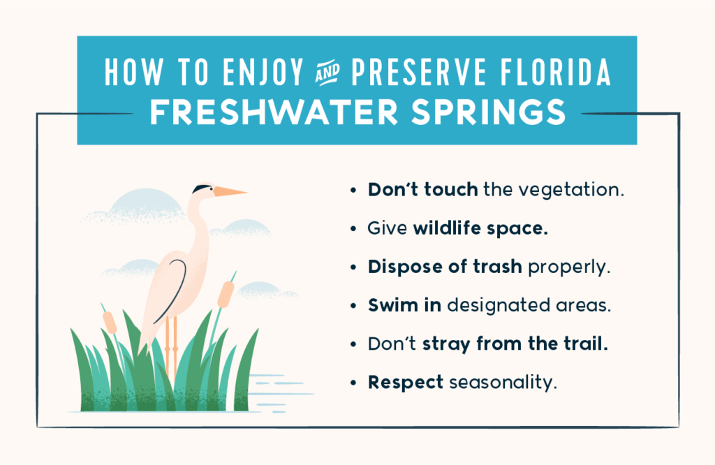 how to enjoy and preserve Florida Freshwater Springs - don't touch, give space, don't litter, swim in designated area, respect 