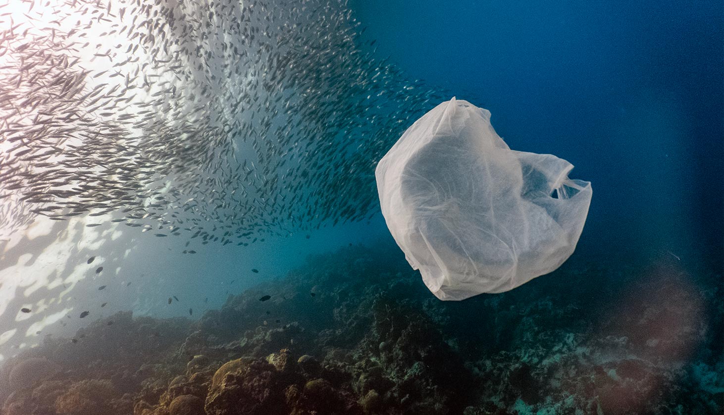 6 Wild Ways We re Cleaning Ocean Trash FloridaPanhandle