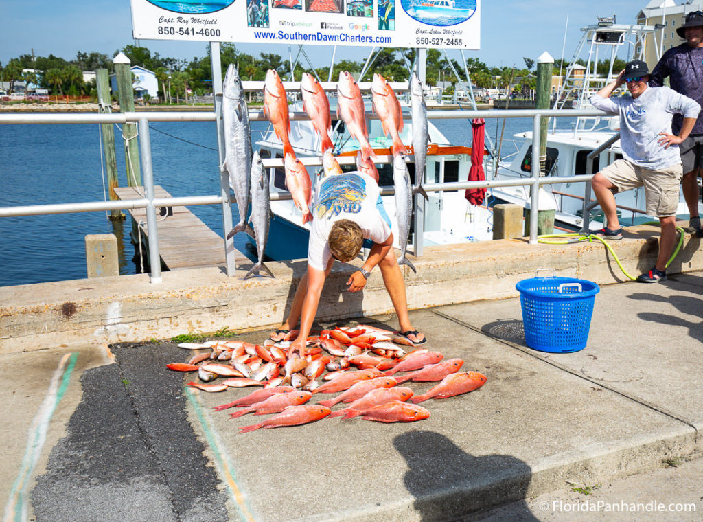 Deep Sea Fishing in Panama City Beach