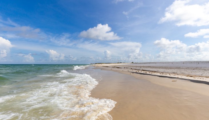 waves washing onto the shore on a sunny day in Cape San Blas, Florida