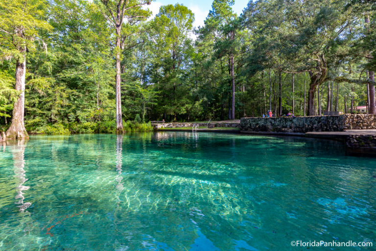 Ponce de Leon Springs State Park Near Panama City Beach, FL | Review