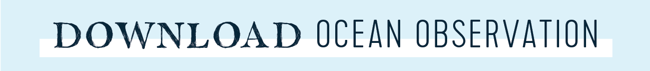 download ocean observations button