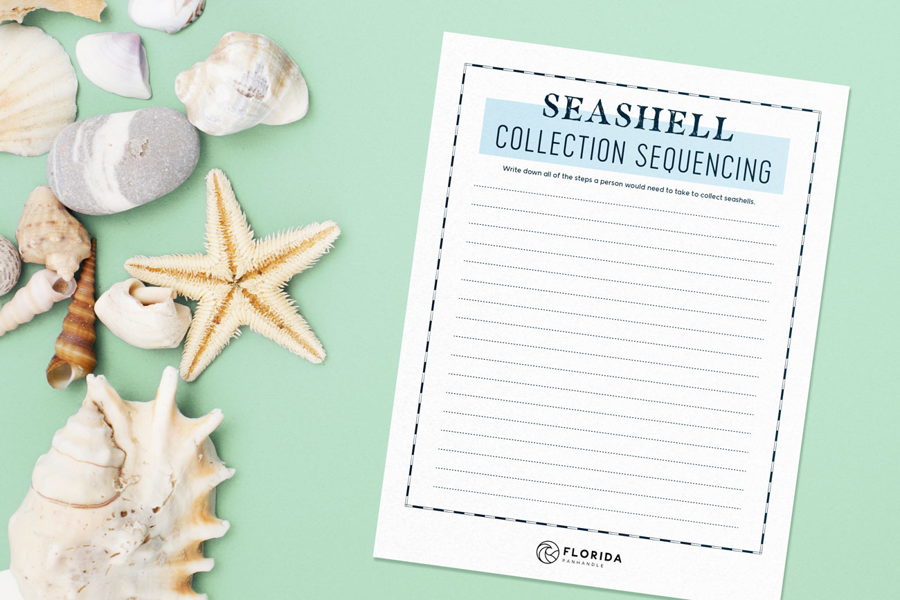 seashell collection sequencing