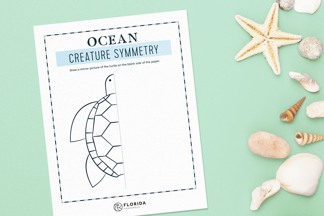 ocean friend symmetry activity