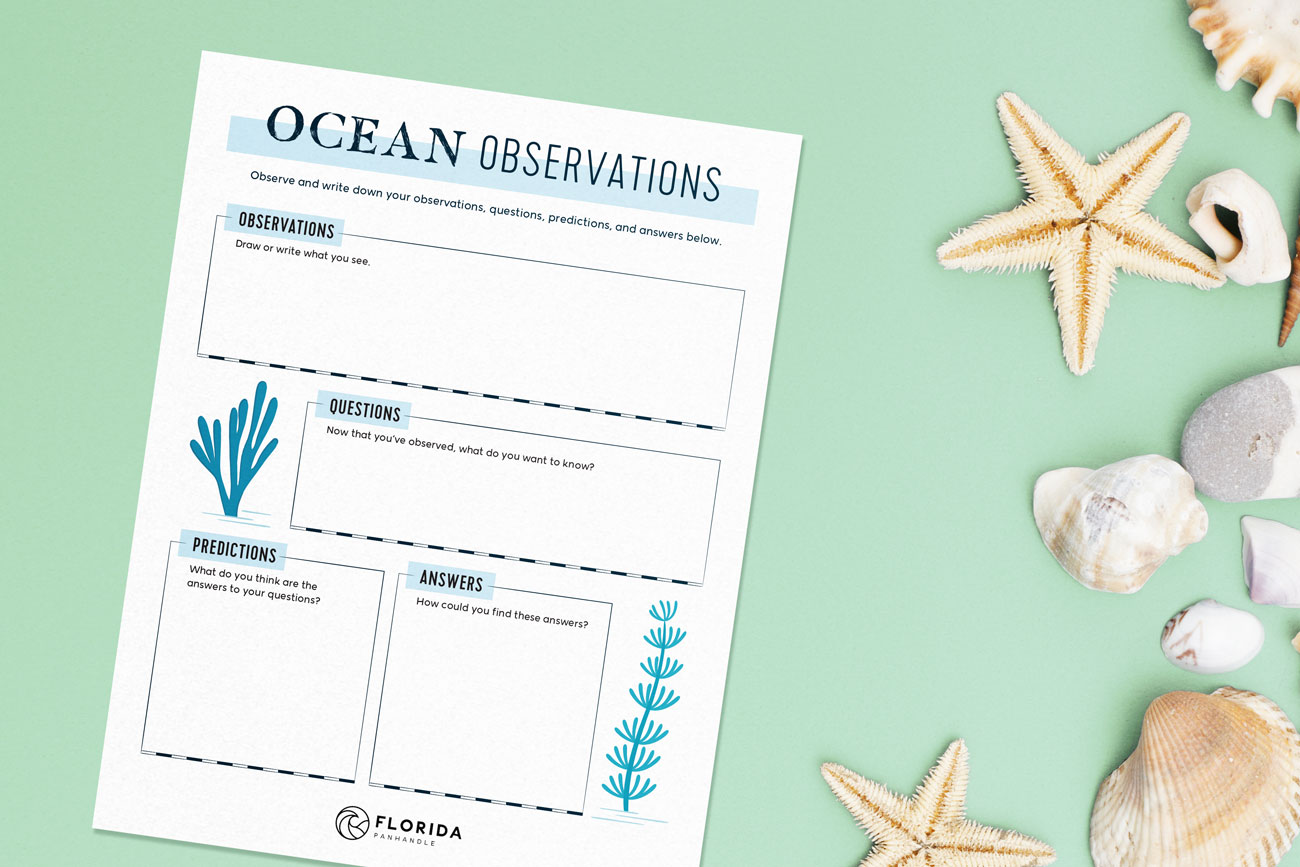 10 educational ocean activities for kids floridapanhandlecom