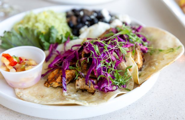 two chicken tacos with bright purple cabbage 