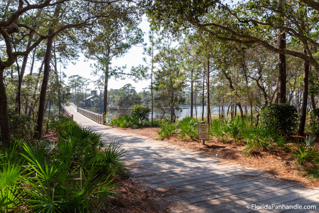 forested green around boardwalk with lake surrounding it and bridge