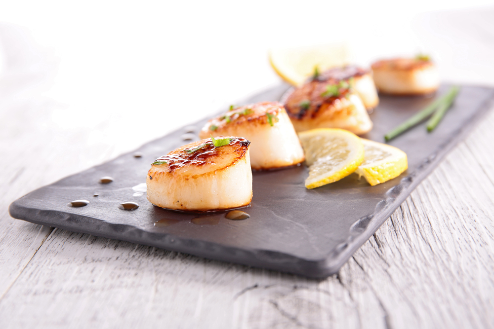 Craving Tasty Scallops? Here’s How to Cook them Perfectly