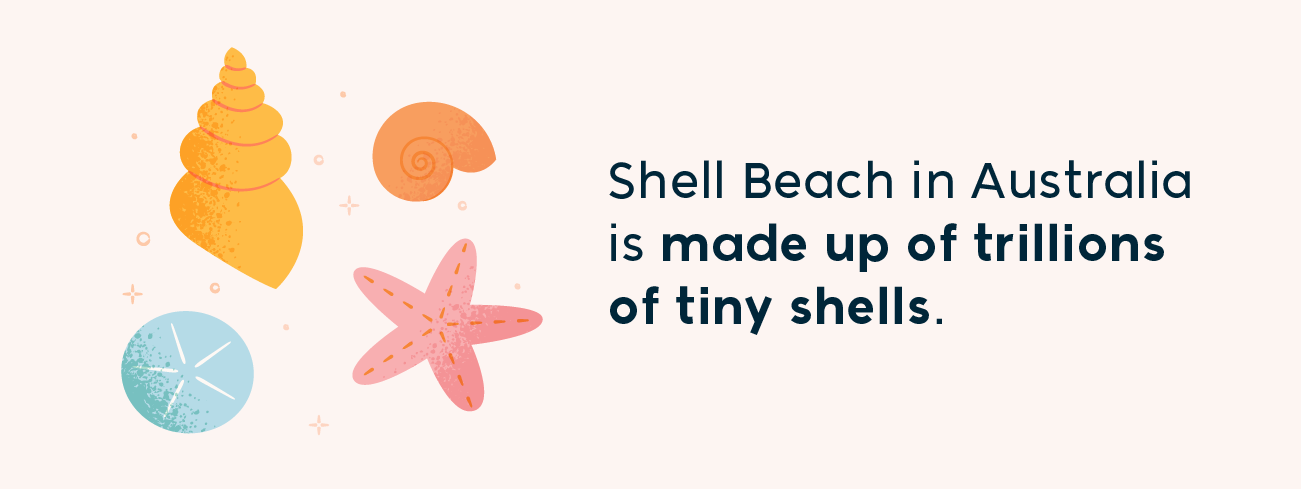 shell beach in australia is made up of trillions of tiny shells