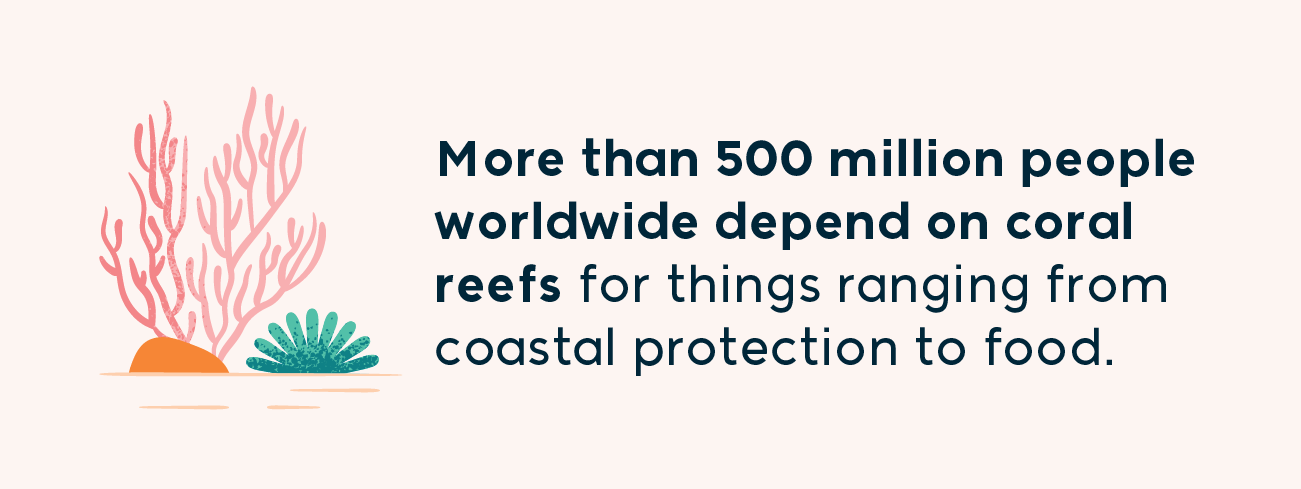 more than 500 million people worldwide depend on coral reefs for things ranging from coastal protection to food