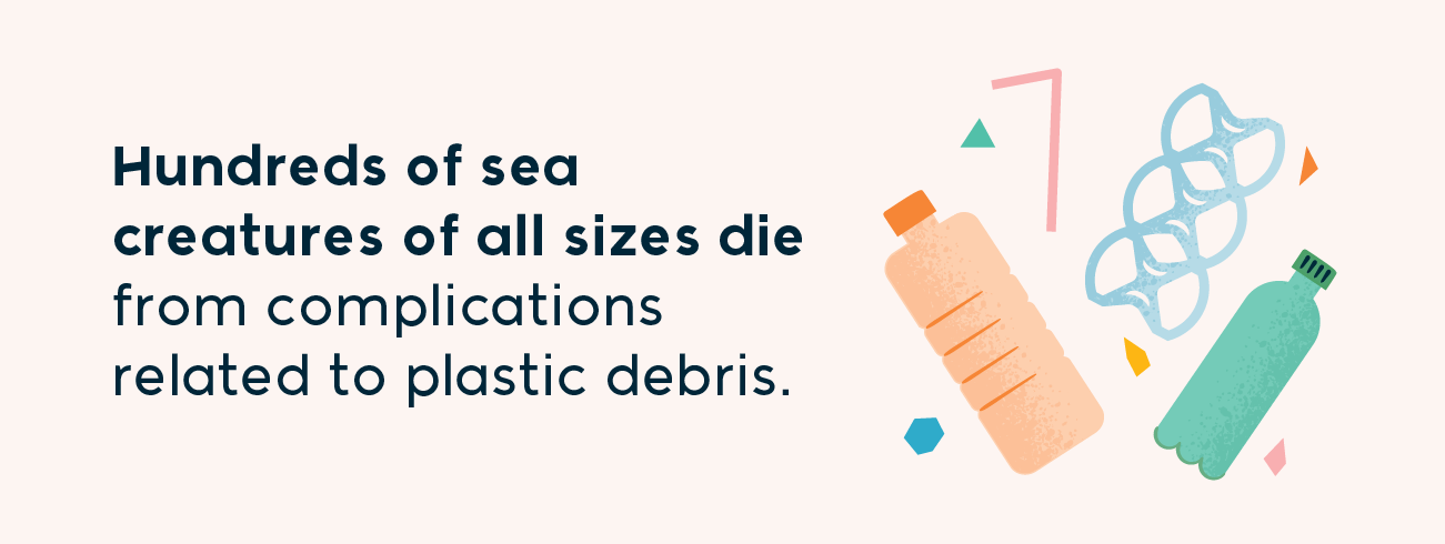 hundreds of sea creatures of all sizes die from complications related to plastic debris