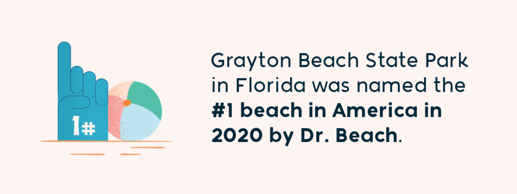 44 Fun Beach Facts That Will Surprise You - FloridaPanhandle.com