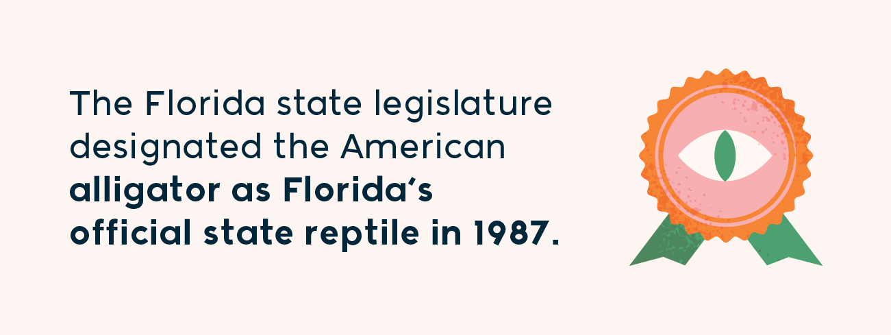 the Florida state legislature designated the American alligator as Florida's official state reptile in 1987