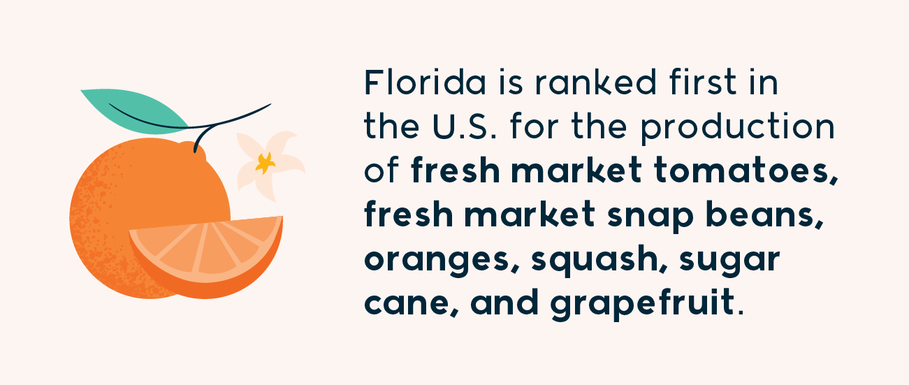 Florida is ranked first in the U.S. for the production of fresh market tomatoes, fresh market snap beans, oranges, squash, sugar cane, and grapefruit.
