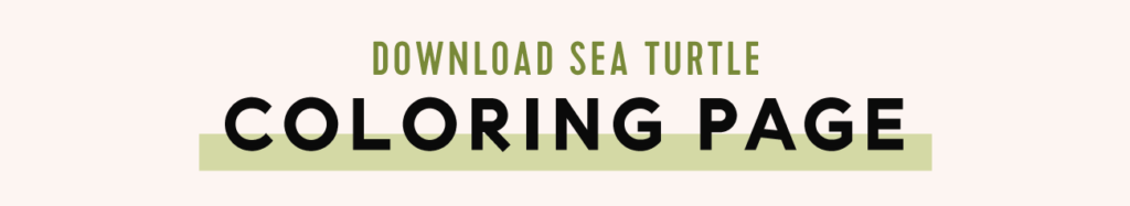 Guide To Sea Turtle Nesting Season + Free Printables