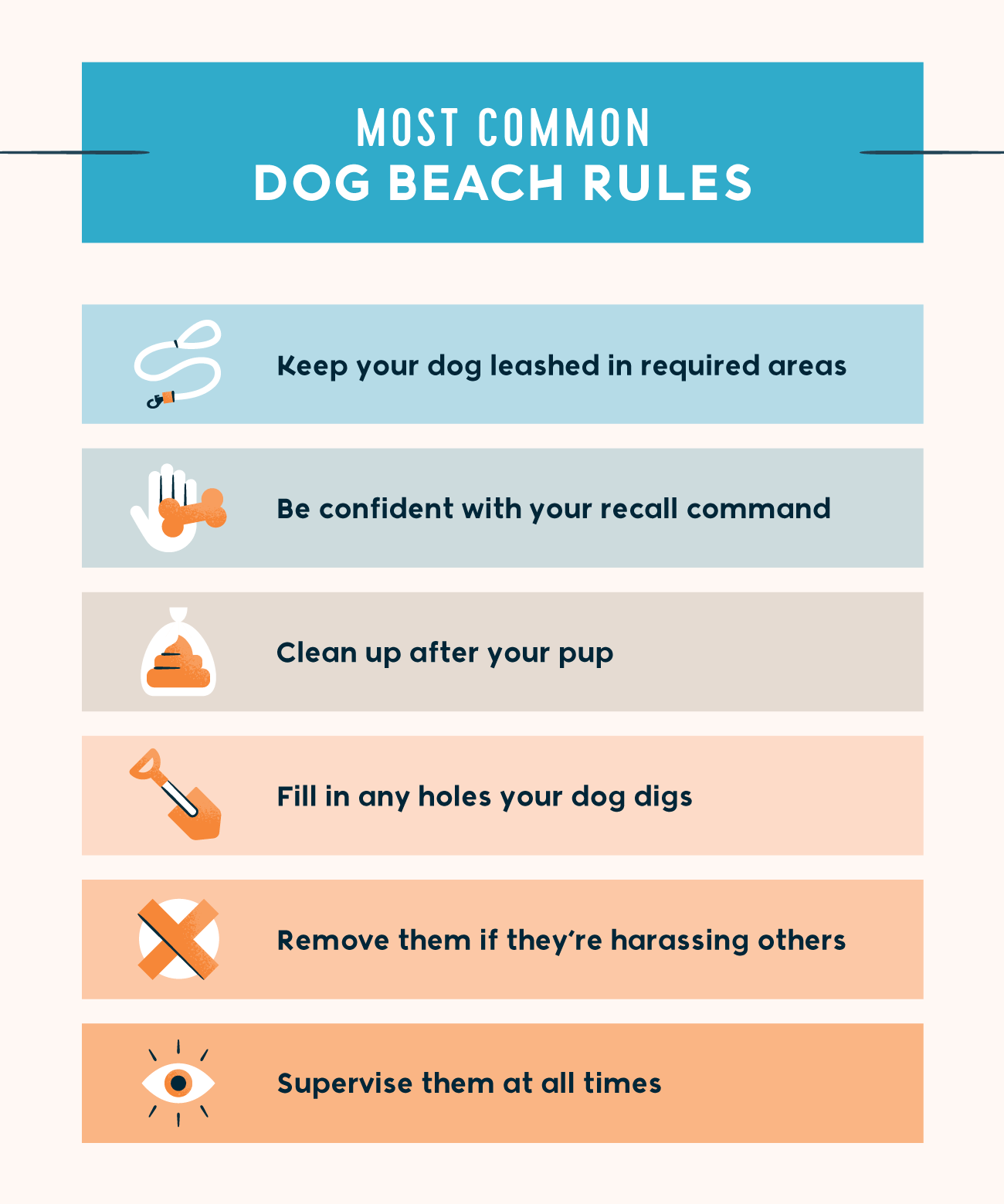 most common dog beach rules