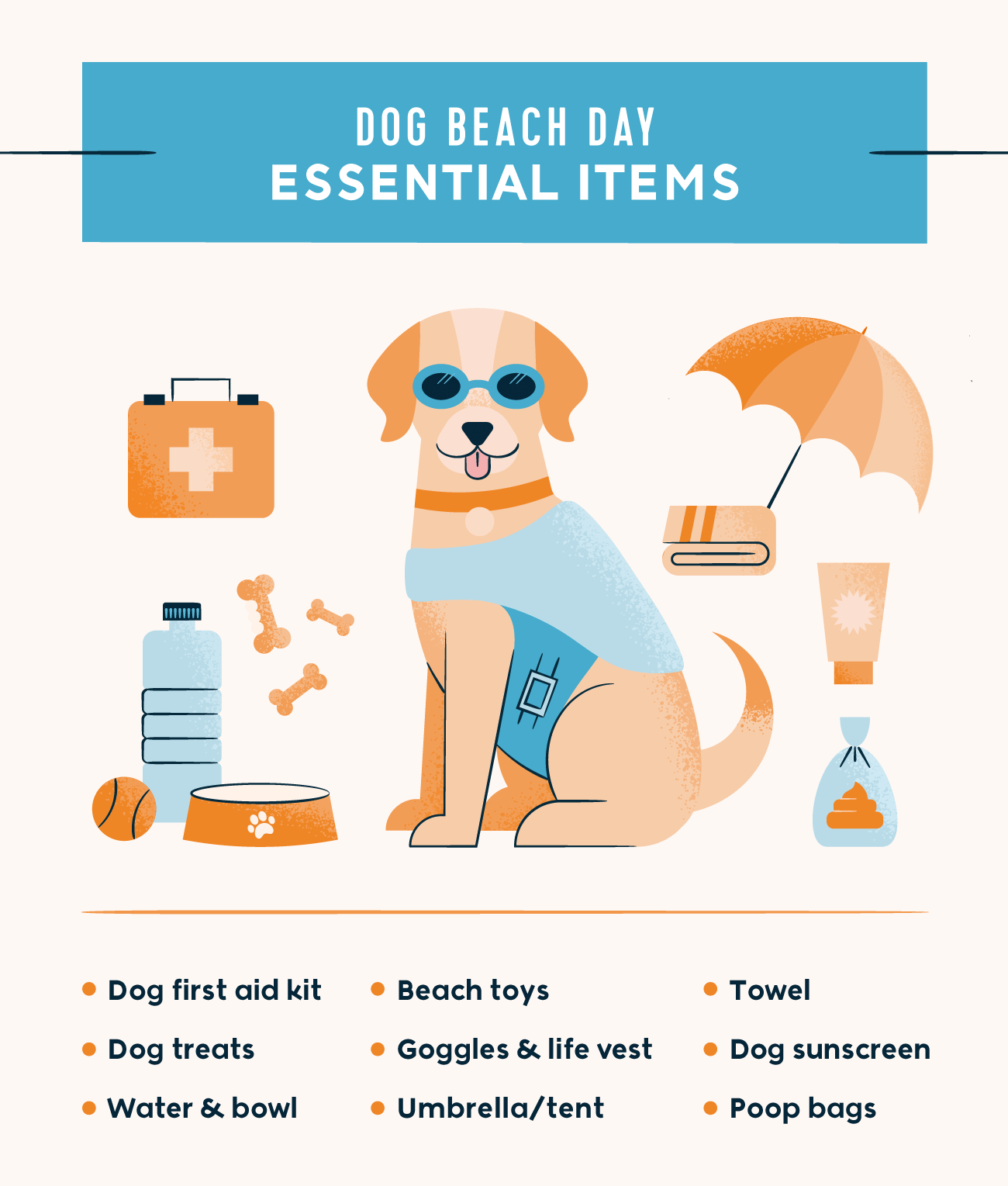 Essential shop dog items