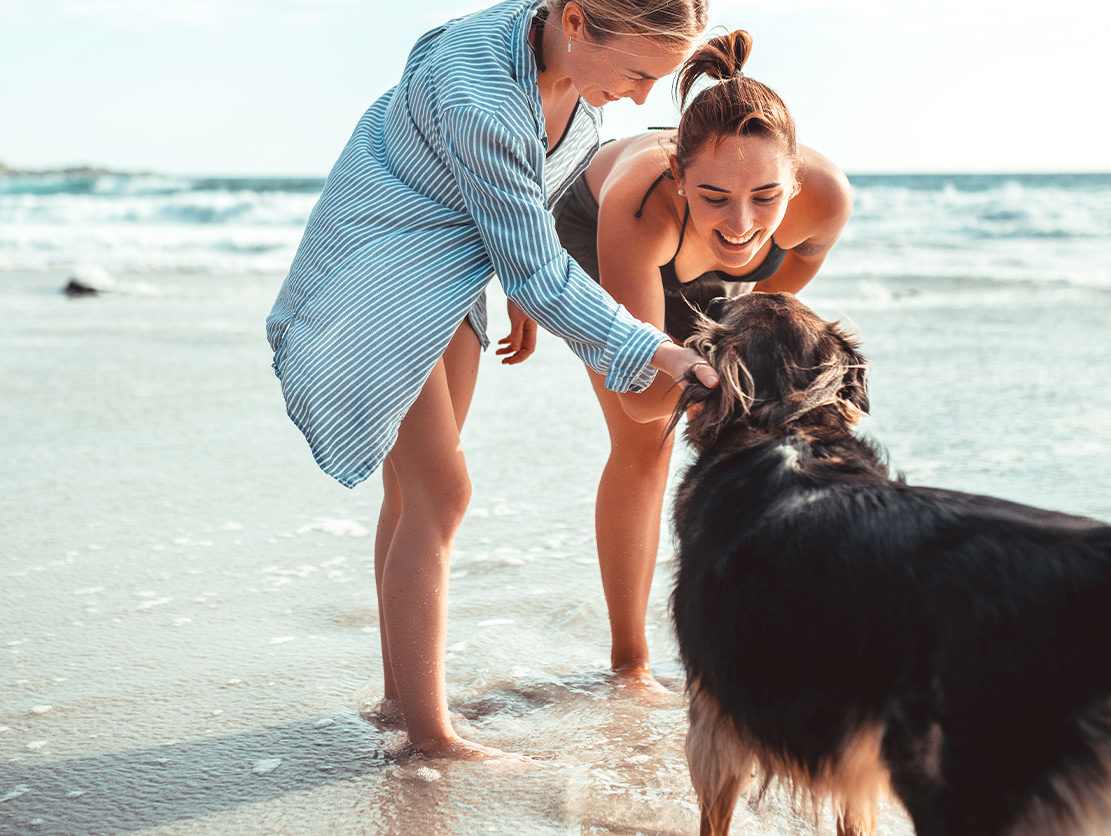 Leash on the Beach: 7 Tips for Taking Your Dog to the Beach