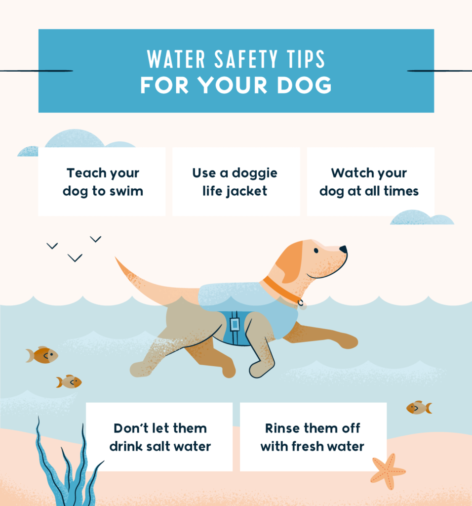 is salt water toxic to dogs