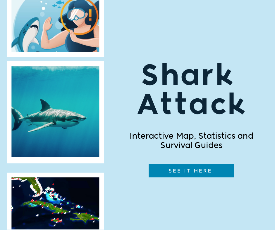 How rare is it to encounter a shark? What to know about the chances of  attack