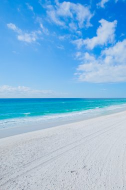 Pensacola Beach Things To Do