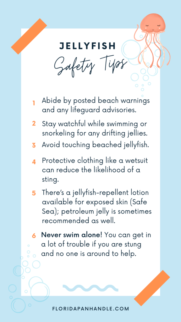 jellyfish safety tips - never swim alone