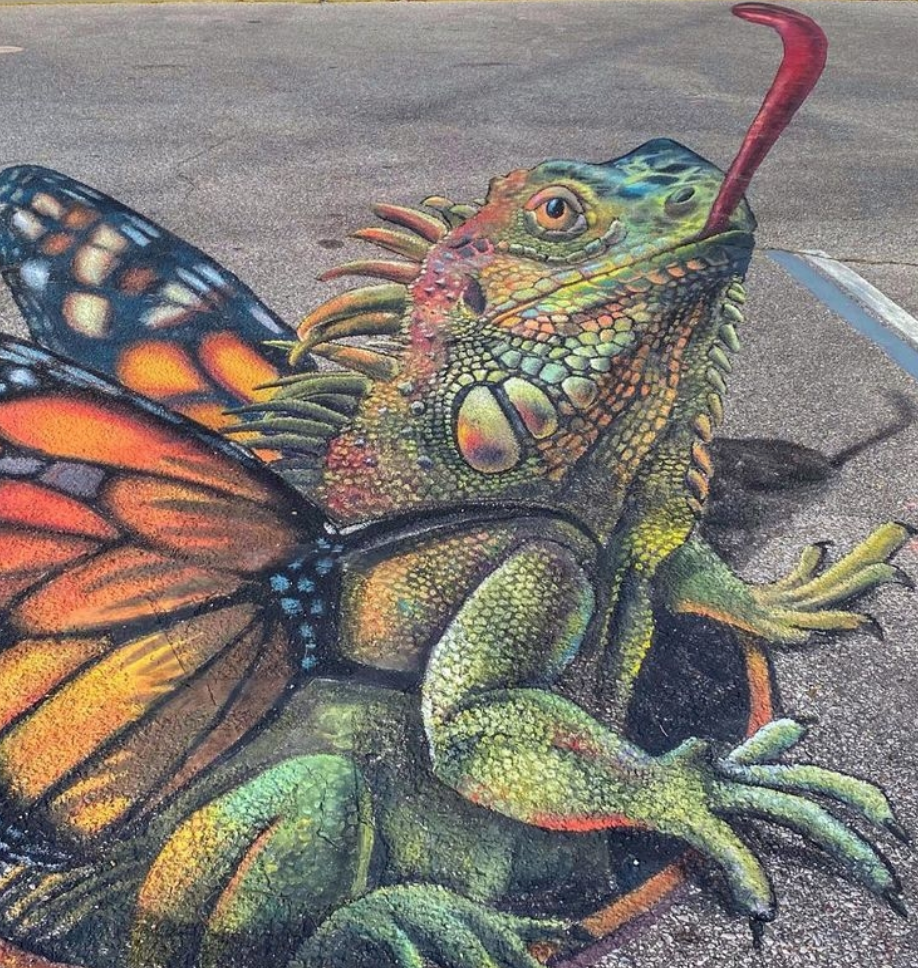 colorful chalk mural of an iguana with monarch butterfly wings on the road in Panama City Beach