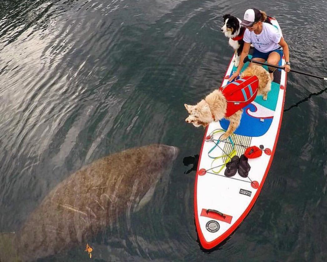 Your Ultimate Guide to the Best Surfing in Destin, Florida