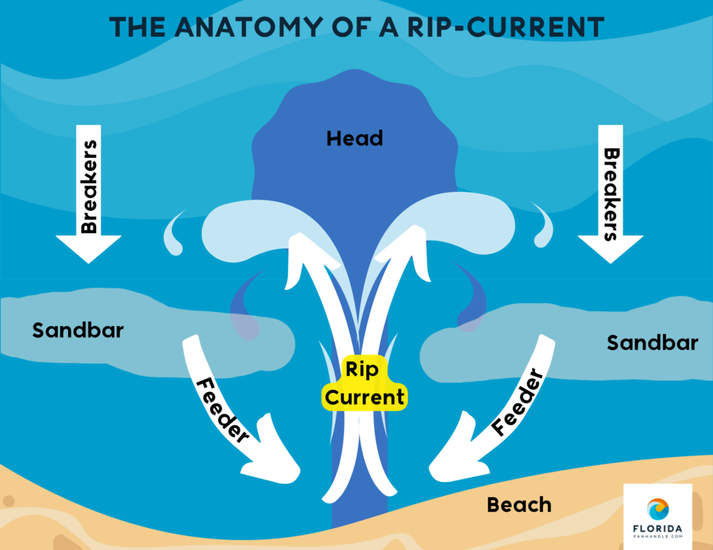 Rip Current Statistics The Oceans' Hidden Danger