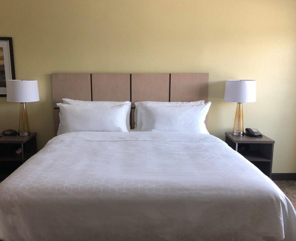 hotels in panama city beach florida, hotel room, queen bed