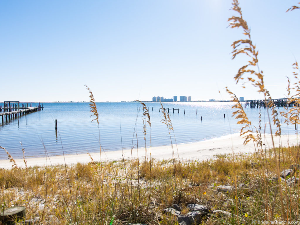 Tall leafy grass with pier and ocean in the front and beach sand