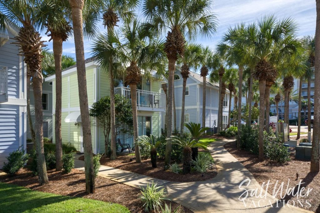 beach homes with palm trees infront