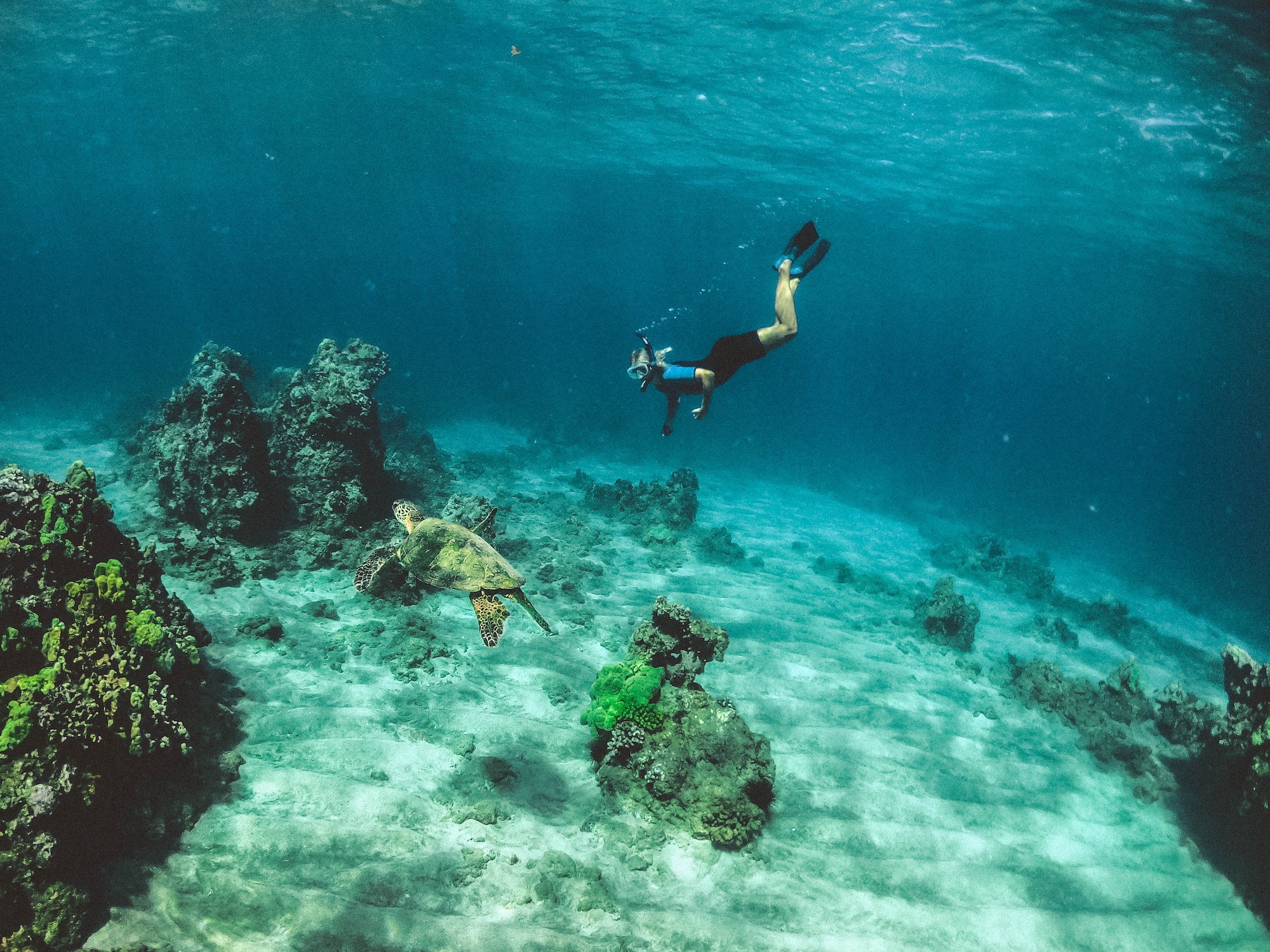 4 Top Pensacola Diving Charters: Experience Pensacola Underwater