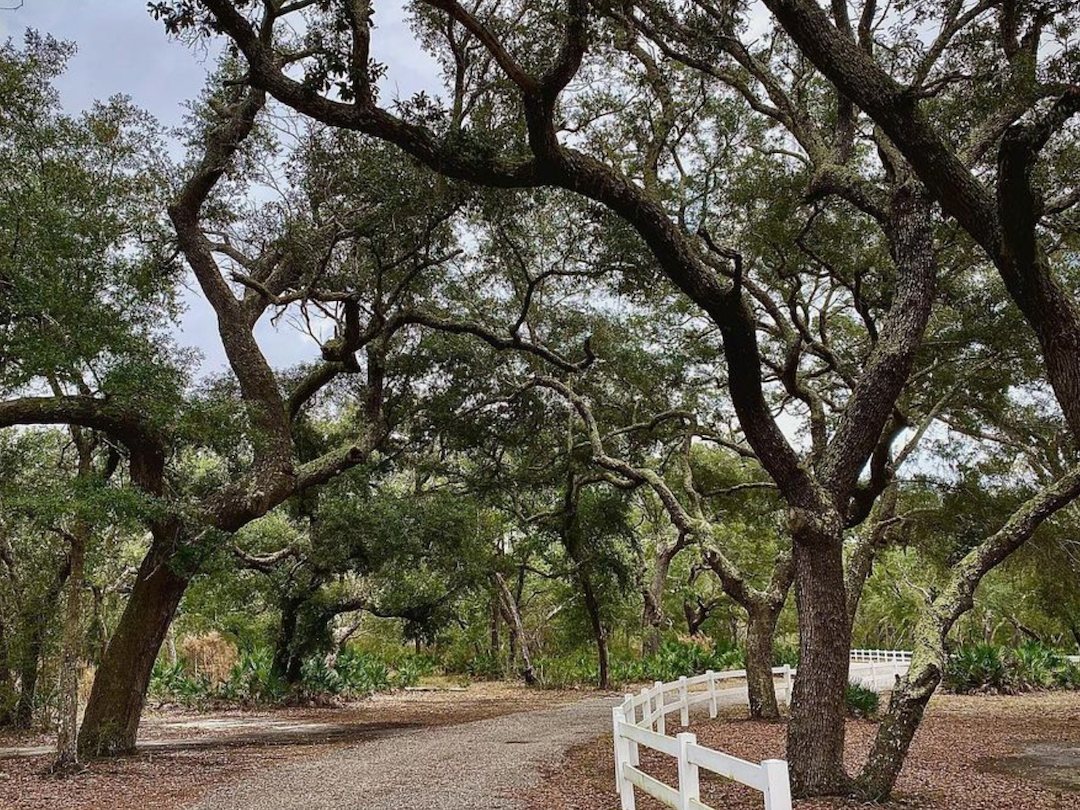 The Ultimate Guide to RV Parks in Pensacola, Florida