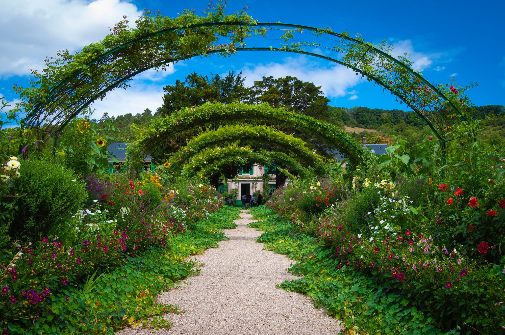 Top 6 Most Beautiful Gardens in PCB